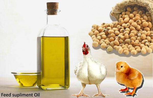 روغن